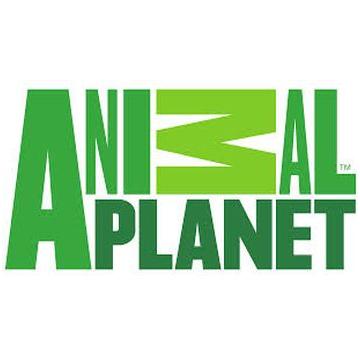 Mojo Animal Planet Brožura 2019